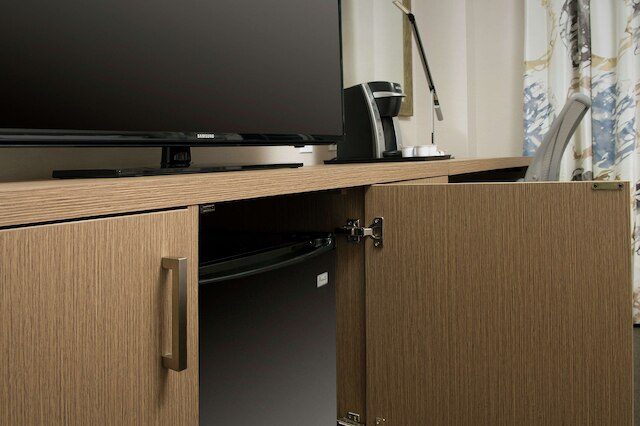 ヒルトン ガーデン イン マイアミ サウス ビーチ