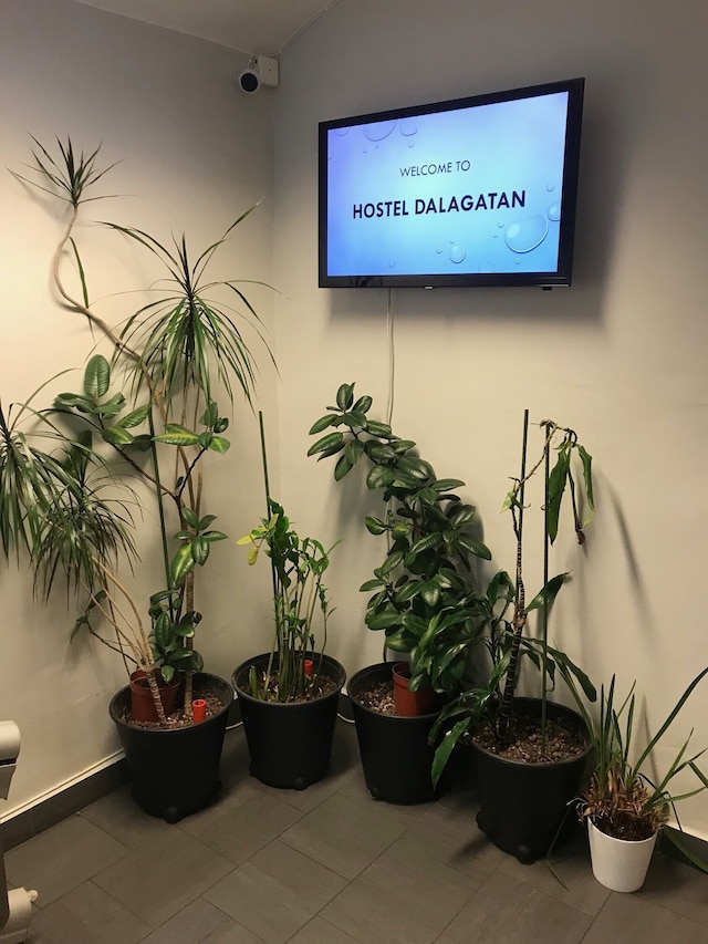 ホステル ダラガータン