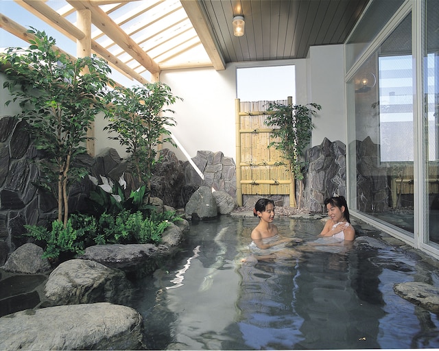 ホテル湯沢湯沢でんき屋