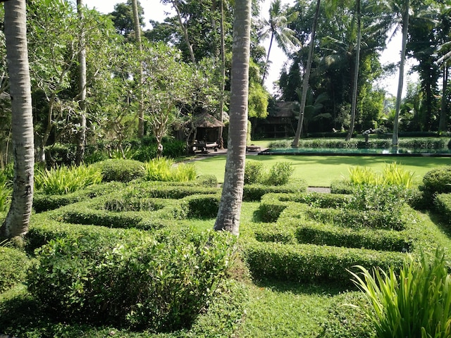 プリ・トゥパイ