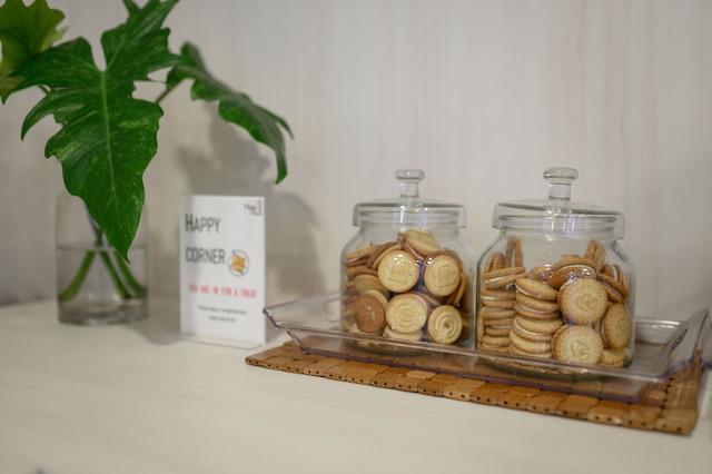 ナップ イン チェンマイ