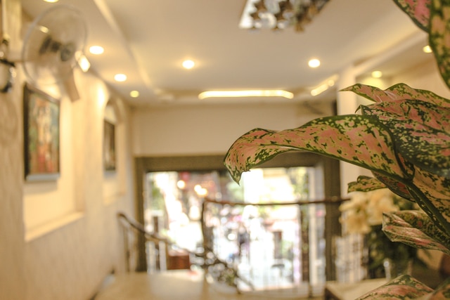 サン ナム ホテル - ブイ ビエン ウォーキング ストリート