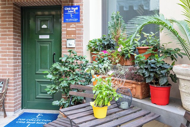 チッタ ストゥーディ スイーツ - トップ コレクション