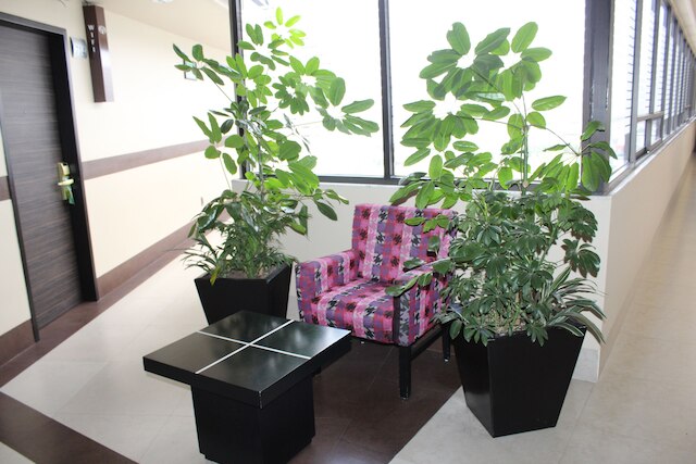 ホテル ブラジリア