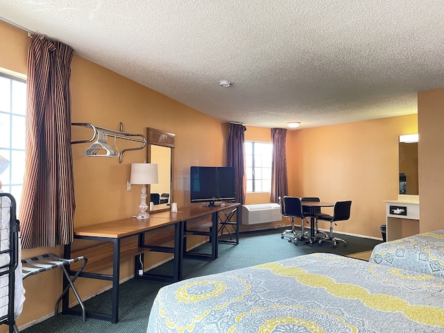 ハリウッド ラ ブレア イン