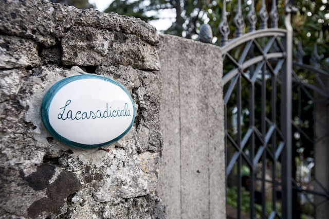 ラ カサ ディ カルラ