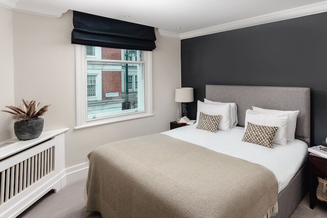 ネイティブ メイフェア