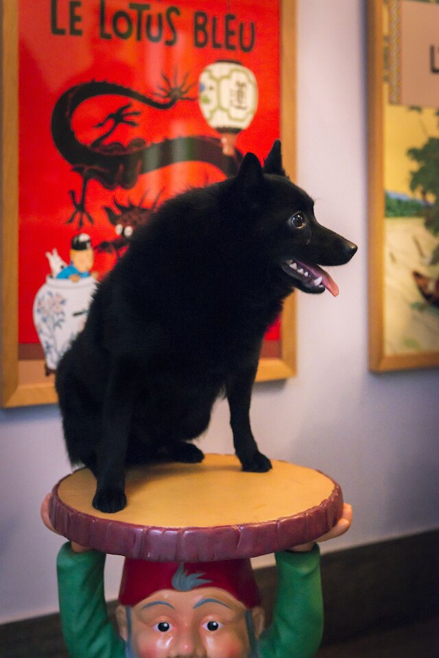 ホテル ドゥ ルーベ