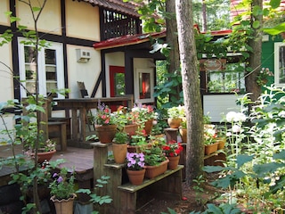 エゾリス君の宿カンタベリー