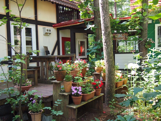 エゾリス君の宿カンタベリー