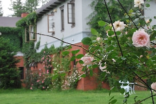 ヨークシャーファーム