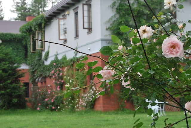 ヨークシャーファーム