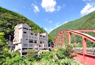 峡谷の湯宿 大歩危峡まんなか