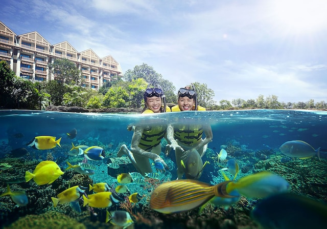 リゾーツ ワールド セントーサ -  ホテル オラ