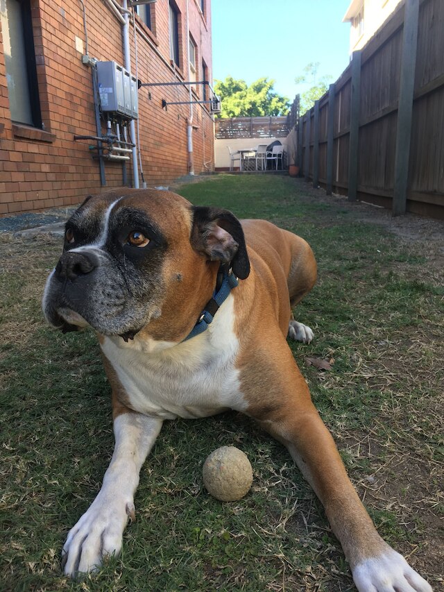 キングスフォード リバーサイド イン