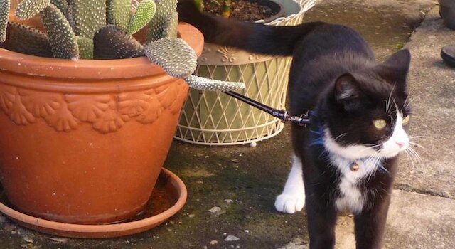 キングスフォード リバーサイド イン