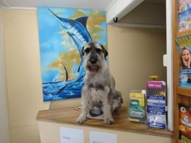 マーリン モーテル