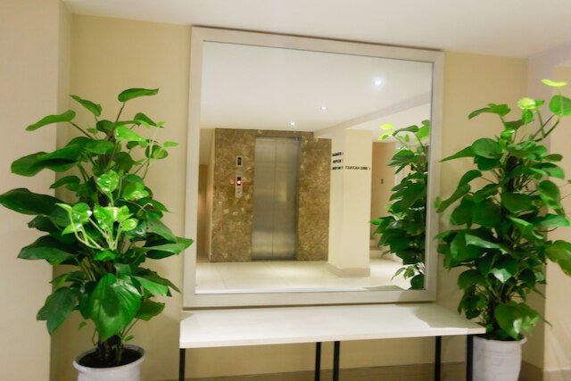 ス ド ホテル ダ ナン