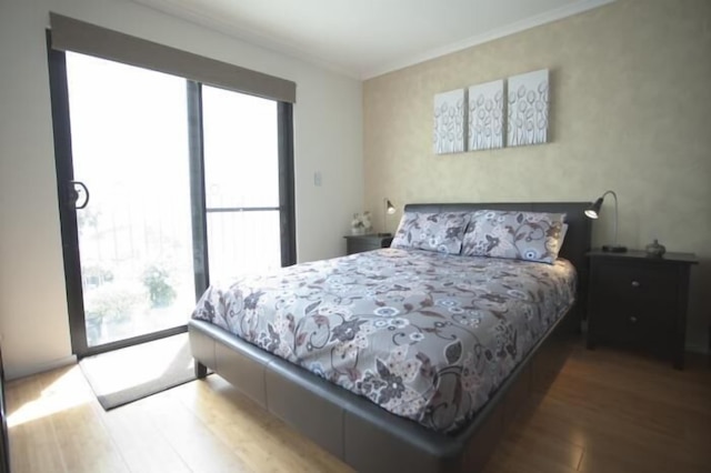 ニュータウン ミューズ