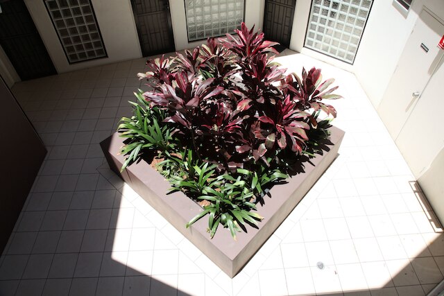 ニュータウン ミューズ