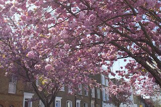 ケンジントン オリンピア アパートメンツ