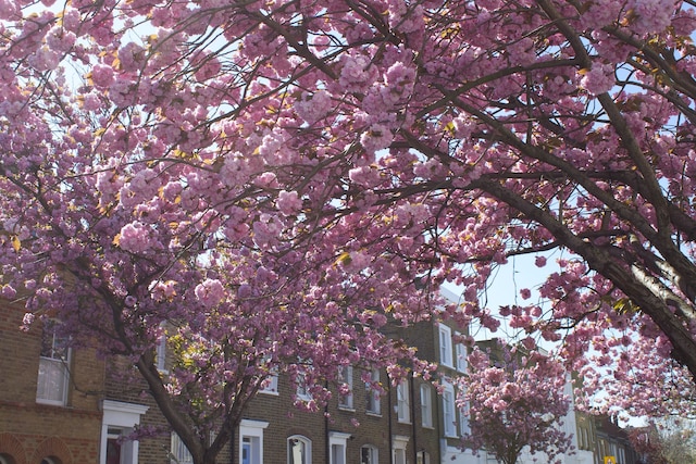 ケンジントン オリンピア アパートメンツ