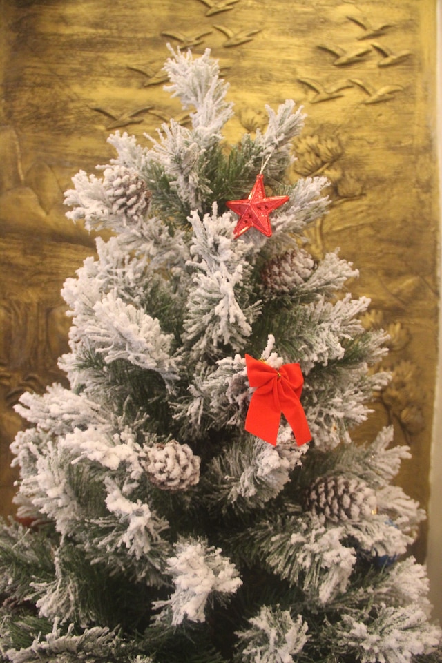 ホテル サイクリスト