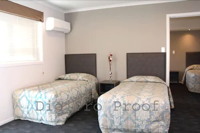 オークランド フェニックス パーム