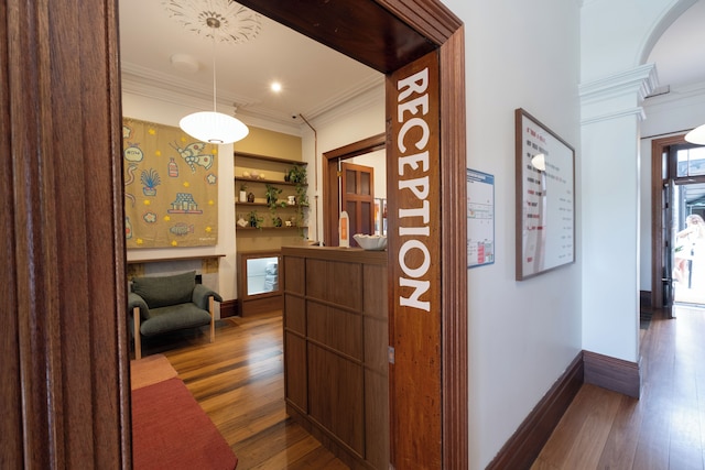 リトル ドリフター サリー ヒルズ