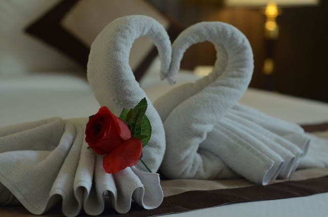 ヴァルナ カルチャー ホテル ソエラバイア スラバヤ