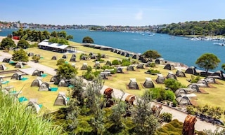 コッカトゥー アイランド