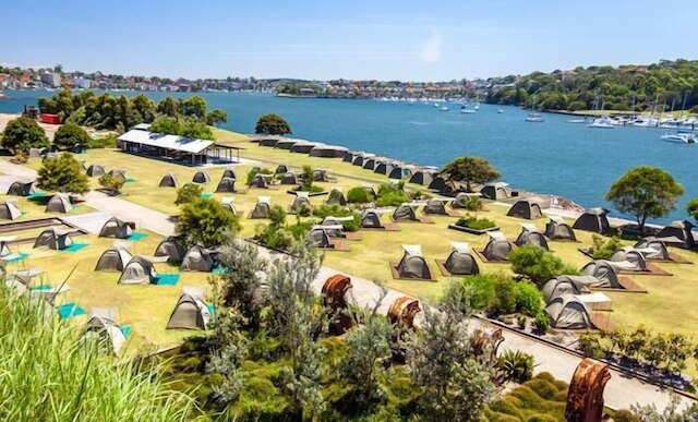 コッカトゥー アイランド