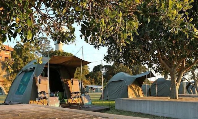 コッカトゥー アイランド