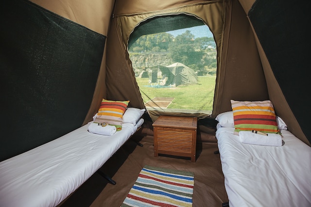 コッカトゥー アイランド