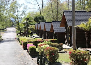 ロトルア サーマル ホリデイ パーク