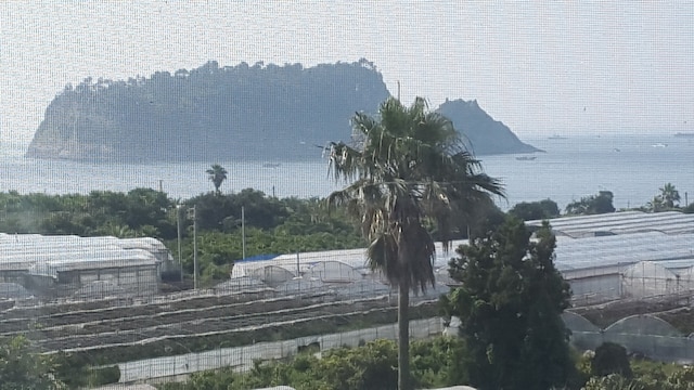 Bada Wi Olle Pension