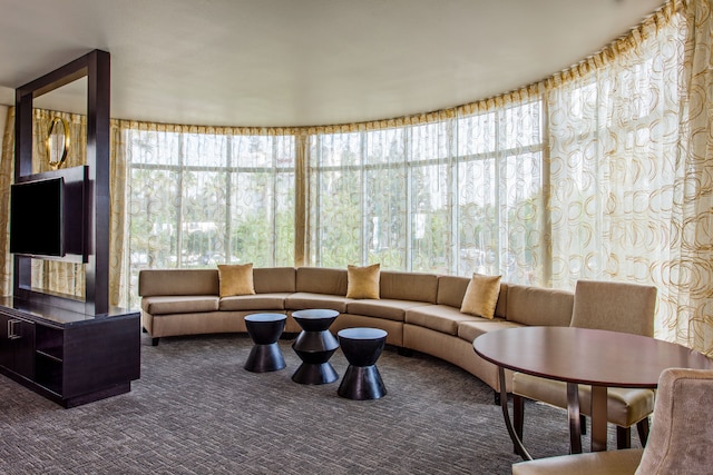 ホリデイ イン エクスプレス & スイーツ アナハイム リゾート エリア by IHG