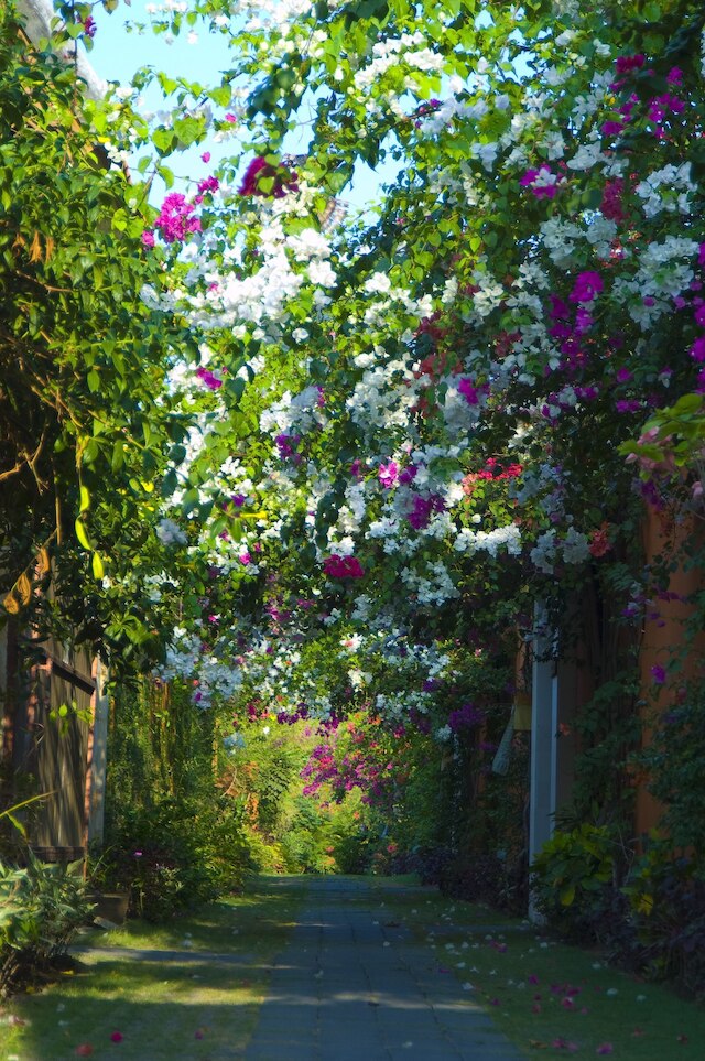 ヴィラ バリ アスリ セミニャック