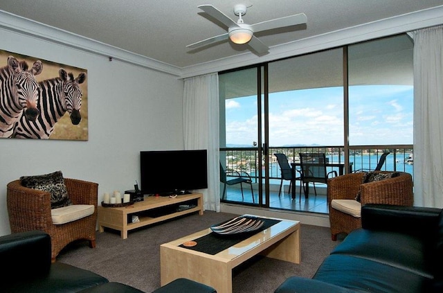 スペクトラム アパートメンツ