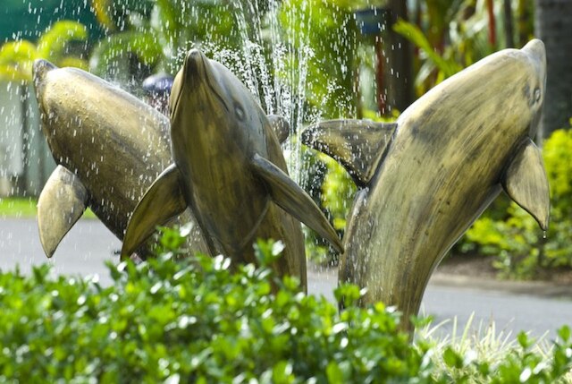 ケアンズ ココナッツ ホリデイ リゾート