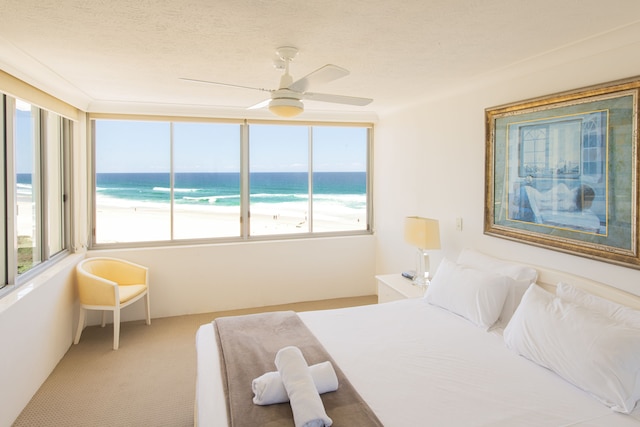 バークレイ オン ザ ビーチ