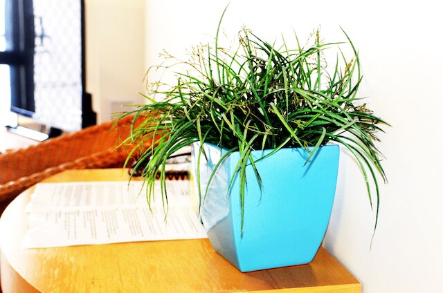 スプリング ヒル ミューズ アパートメンツ