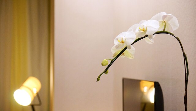 ホテル ロイヤル 北投 (北投老爺酒店)