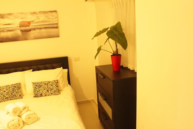 ベン イェフダ アパートメンツ エルサレム