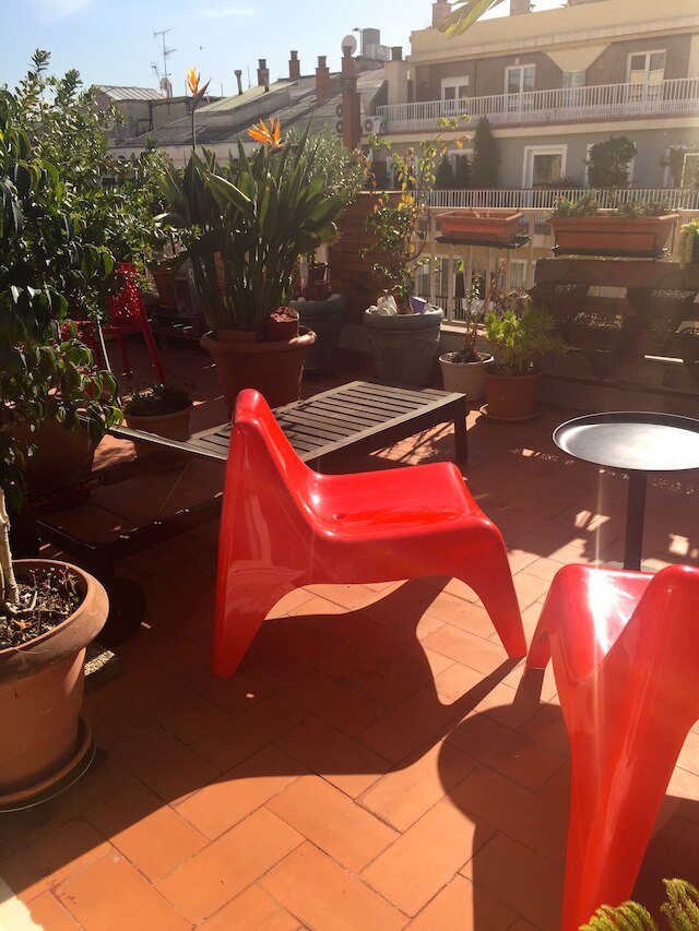 ザ スカイ ドーム