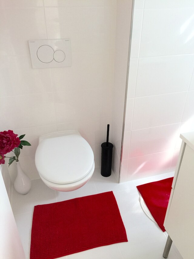 ザ スカイ ドーム