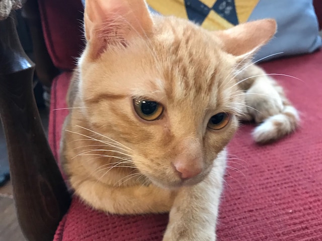 ペンション KEYAKI