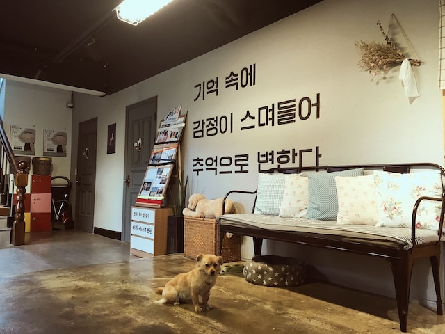 Suncheon Guesthouse Nreem