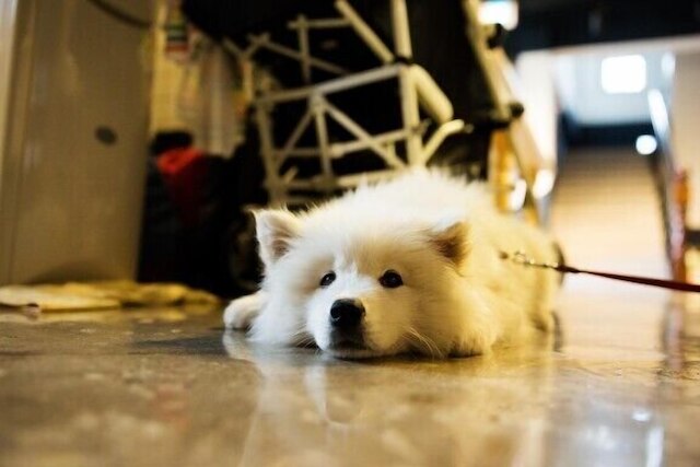 Suncheon Guesthouse Nreem