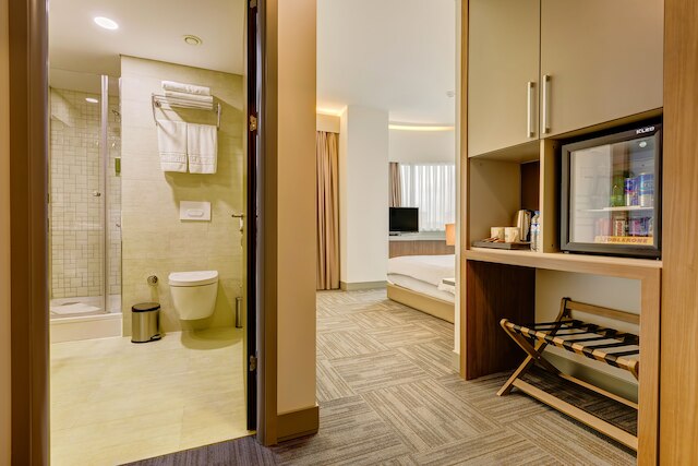 プラス ホテル ボスタンチ アタシェヒル